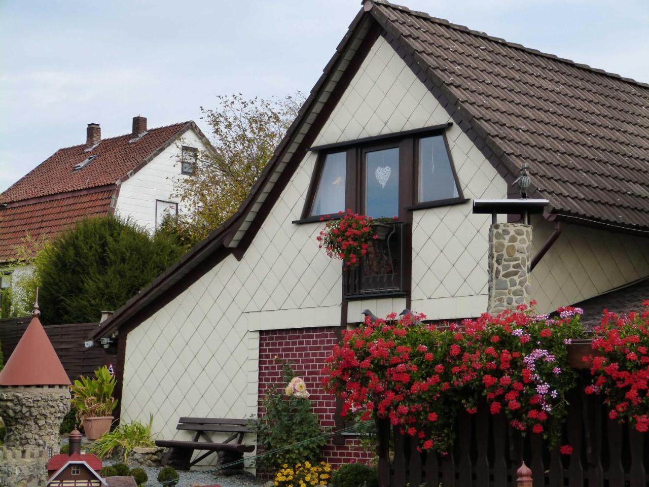 Ferienhaus Cramer Walkenried Exterior foto